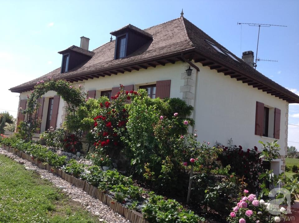 Khu vườn hoa hồng rộng hơn 1 hecta đẹp như cổ tích của người phụ nữ sinh ra ở chốn ngàn hoa - Ảnh 6. Khu vườn hoa hồng rộng hơn 1 hecta đẹp như cổ tích của người phụ nữ sinh ra ở chốn ngàn hoa - Ảnh 6.