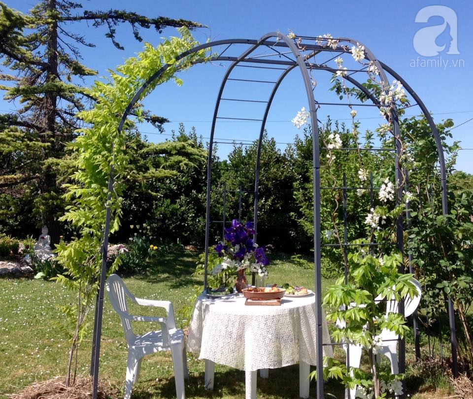 Khu vườn hoa hồng rộng hơn 1 hecta đẹp như cổ tích của người phụ nữ sinh ra ở chốn ngàn hoa - Ảnh 17. Khu vườn hoa hồng rộng hơn 1 hecta đẹp như cổ tích của người phụ nữ sinh ra ở chốn ngàn hoa - Ảnh 17.