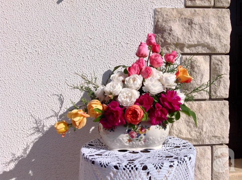 Khu vườn hoa hồng rộng hơn 1 hecta đẹp như cổ tích của người phụ nữ sinh ra ở chốn ngàn hoa - Ảnh 32. Khu vườn hoa hồng rộng hơn 1 hecta đẹp như cổ tích của người phụ nữ sinh ra ở chốn ngàn hoa - Ảnh 32.