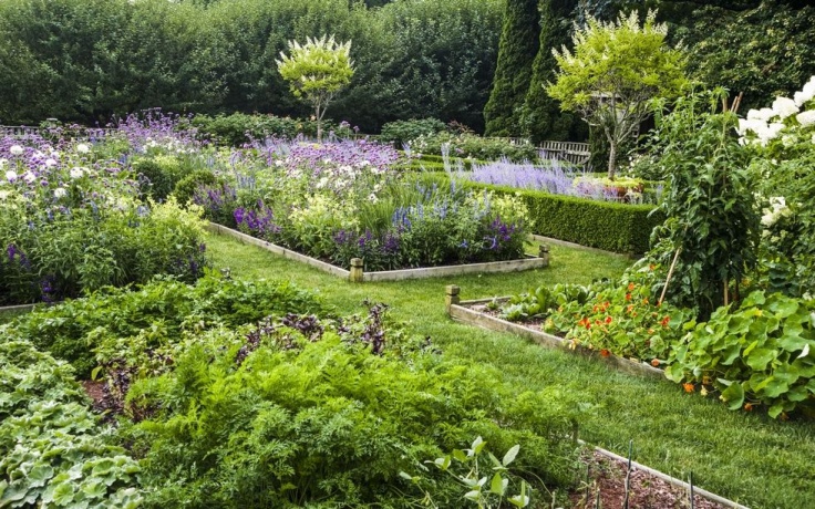 Nghệ thuật làm vườn đỉnh cao của nữ đầu bếp giàu nhất thế giới - Ảnh 6. Nghệ thuật làm vườn đỉnh cao của nữ đầu bếp giàu nhất thế giới - Ảnh 6.