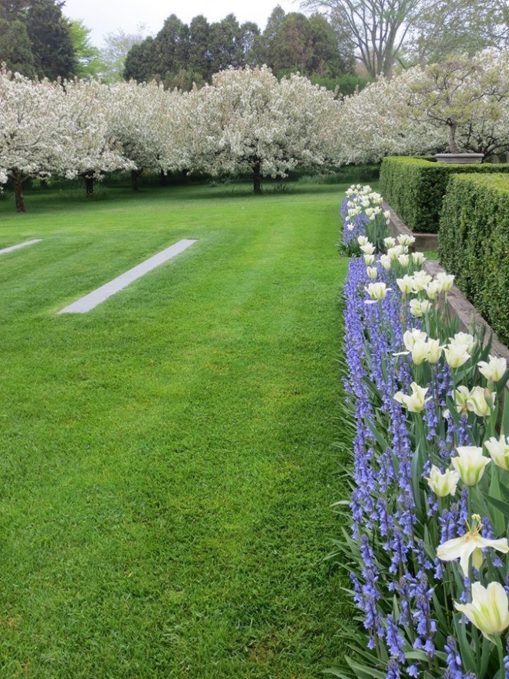 Nghệ thuật làm vườn đỉnh cao của nữ đầu bếp giàu nhất thế giới - Ảnh 8. Nghệ thuật làm vườn đỉnh cao của nữ đầu bếp giàu nhất thế giới - Ảnh 8.