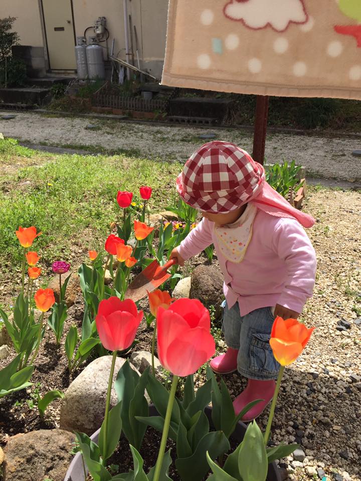 Mẹ Việt ở Nhật dạy con biết rửa bát từ khi mới 1 tuổi - Ảnh 7. Mẹ Việt ở Nhật dạy con biết rửa bát từ khi mới 1 tuổi - Ảnh 7.