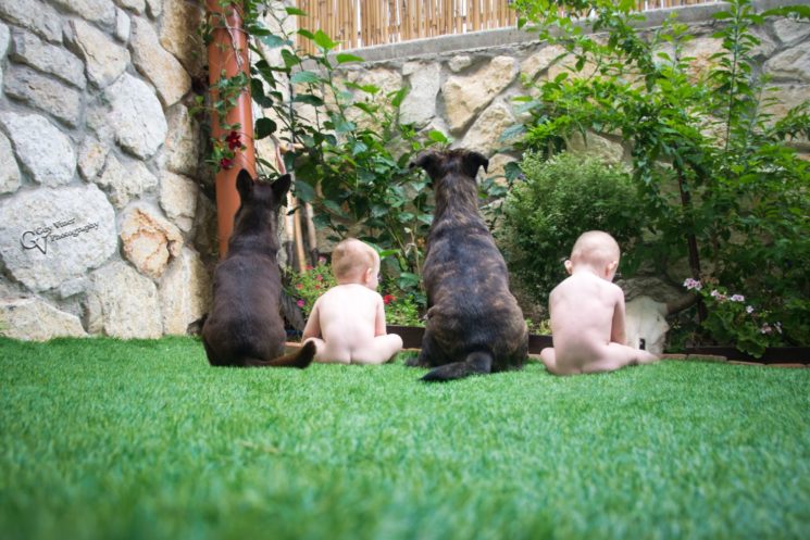 Cặp sinh đôi cực dễ thương trong những bức ảnh không đụng hàng - Ảnh 26. Cặp sinh đôi cực dễ thương trong những bức ảnh không đụng hàng - Ảnh 26.