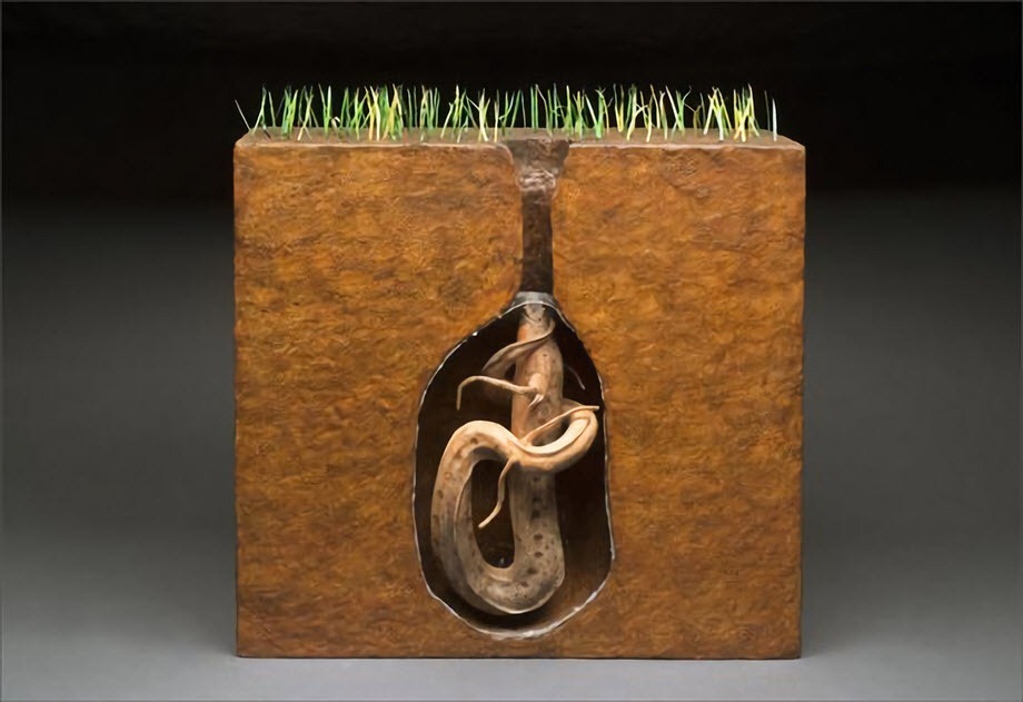 Loài cá kỳ lạ có thể sống trên cạn cả năm mà không chết - Ảnh 3. Loài cá kỳ lạ có thể sống trên cạn cả năm mà không chết - Ảnh 3.