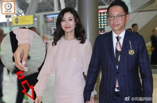 Nàng hoa hậu đẹp nhất lịch sử Hong Kong, Lý Gia Hân, Lý Gia Hân và chồng tỷ phú