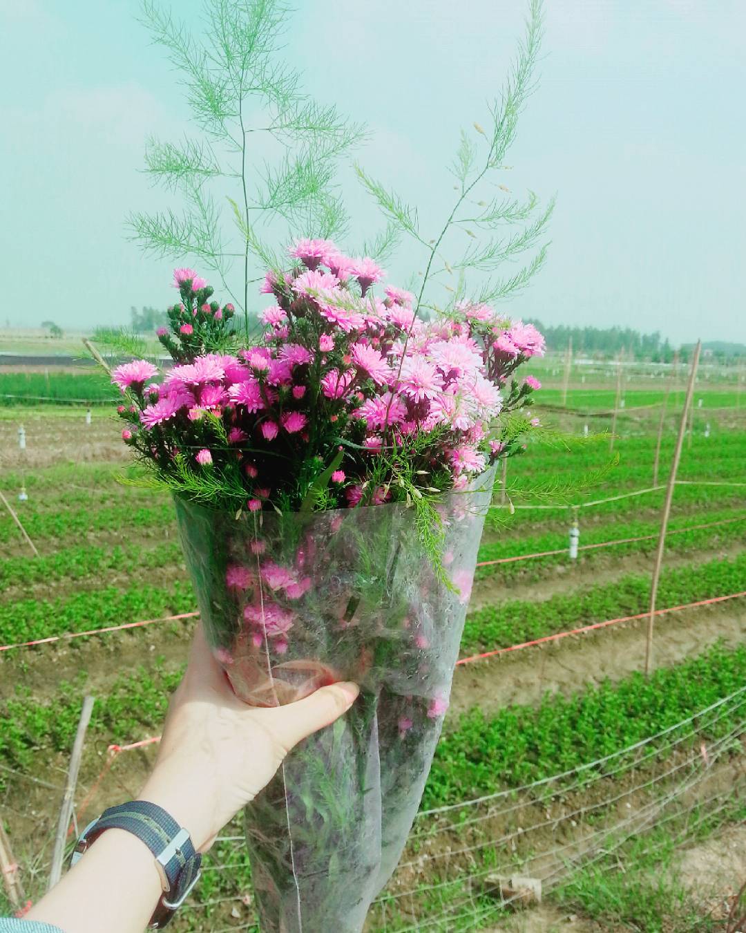 4 làng hoa đẹp long lanh ngay ven Hà Nội nên ghé đến để cảm nhận rõ vị Xuân - Ảnh 11. 4 làng hoa đẹp long lanh ngay ven Hà Nội nên ghé đến để cảm nhận rõ vị Xuân - Ảnh 11.