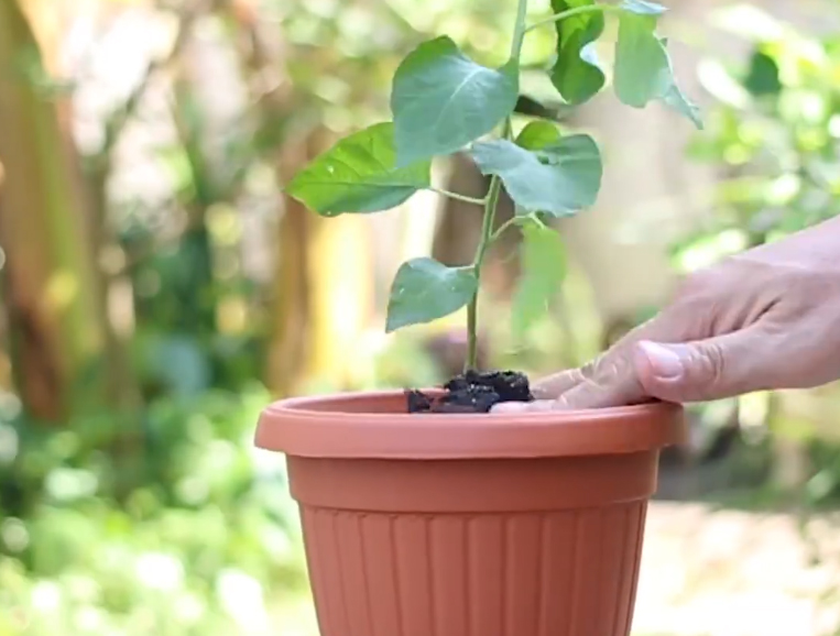 Chỉ với miếng xốp rửa bát bạn có thể làm được nhiều việc khó tin thế này - Ảnh 9.