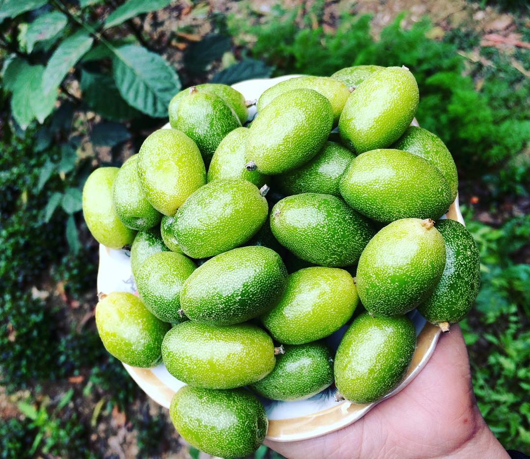 Ứa nước miếng với những món ngon từ nhót xanh lạ miệng mà cực dễ làm - Ảnh 7. Ứa nước miếng với những món ngon từ nhót xanh lạ miệng mà cực dễ làm - Ảnh 7.