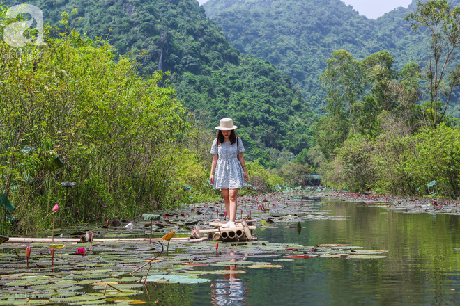 Không cần đi đâu xa, tới chùa Hương ngắm hoa súng đầu mùa đẹp như trong tranh - Ảnh 2.