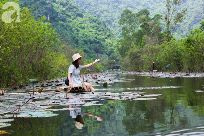 Không cần đi đâu xa, tới chùa Hương ngắm hoa súng đầu mùa đẹp như trong tranh - Ảnh 10.