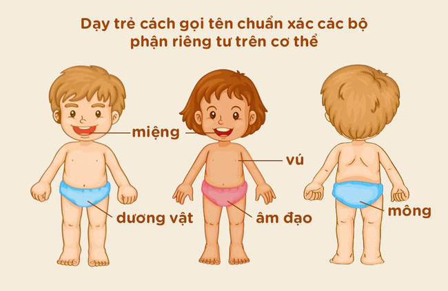 4 bộ phận trên cơ thể bố mẹ cần dạy con gọi tên một cách chính xác nhất - Ảnh 1.