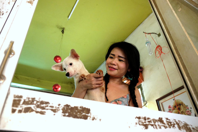 Cô nàng độc thân nuôi 91 con chó ở Sài Gòn: Chồng có thể không có, nhưng chó phải có... một đàn - Ảnh 2.
