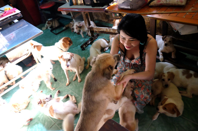 Cô nàng độc thân nuôi 91 con chó ở Sài Gòn: Chồng có thể không có, nhưng chó phải có... một đàn - Ảnh 5.