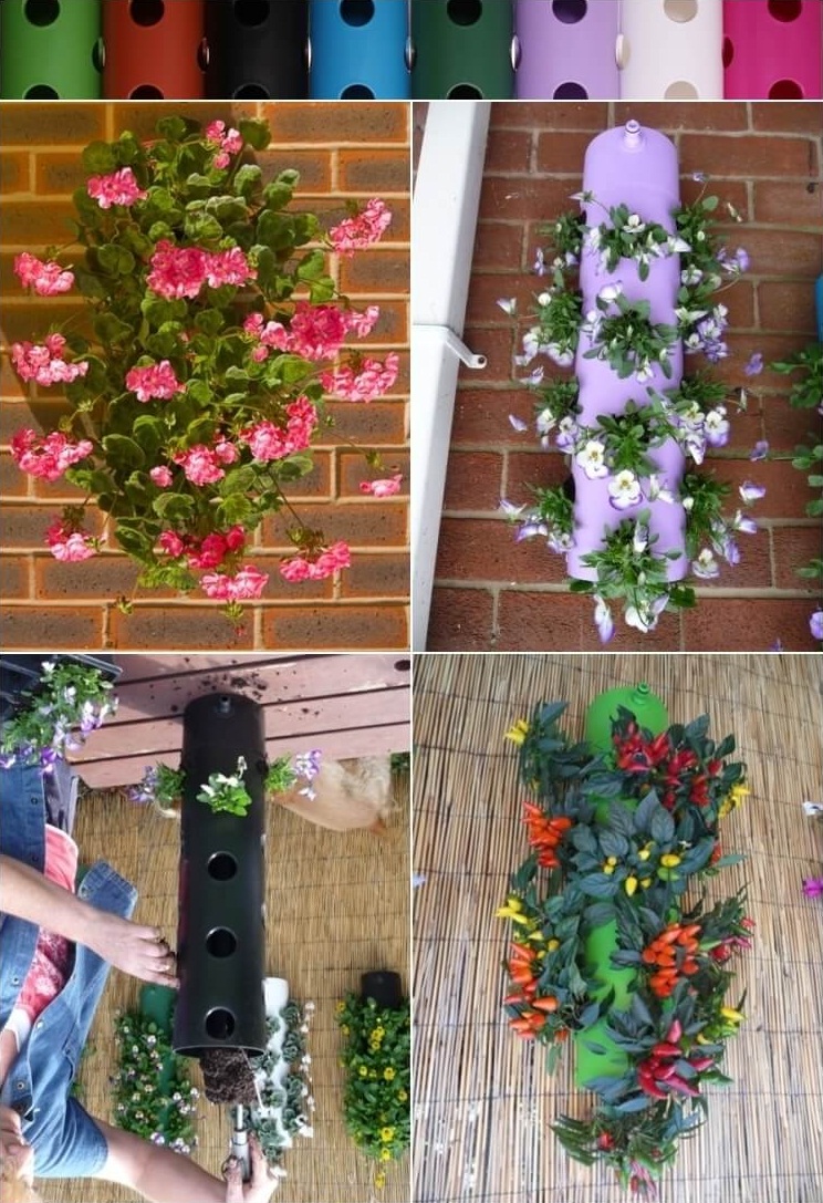 10 ý tưởng trồng cây thẳng đứng tiết kiệm không gian cho nhà chật - Ảnh 1. 10 ý tưởng trồng cây thẳng đứng tiết kiệm không gian cho nhà chật - Ảnh 1.