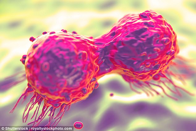 Vitamin C và kháng sinh kết hợp tăng khả năng giết chết tế bào ung thư lên gấp 100 lần so với những loại thuốc điều trị hiện tại (Ảnh: dailymail)