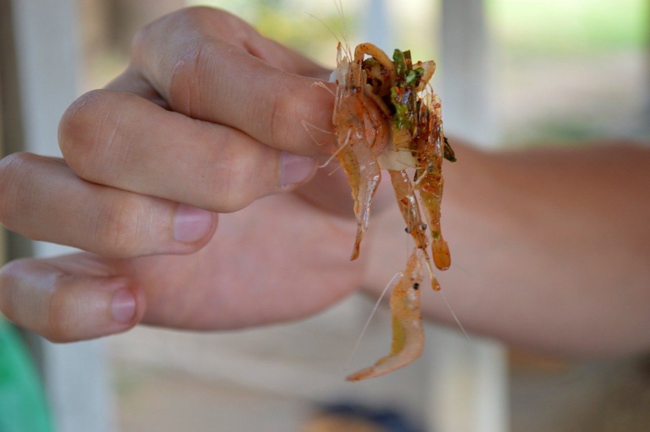 5 món đặc sản kinh dị khiến team ăn cả thế giới cũng phải chùn bước ở Thái Lan - Ảnh 2. 5 món đặc sản kinh dị khiến team ăn cả thế giới cũng phải chùn bước ở Thái Lan - Ảnh 2.