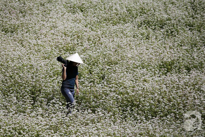 Đắm chìm trong cánh đồng lavender, tam giác mạch ở ngôi làng đẹp như tiên cảnh bị lãng quên - Ảnh 7.