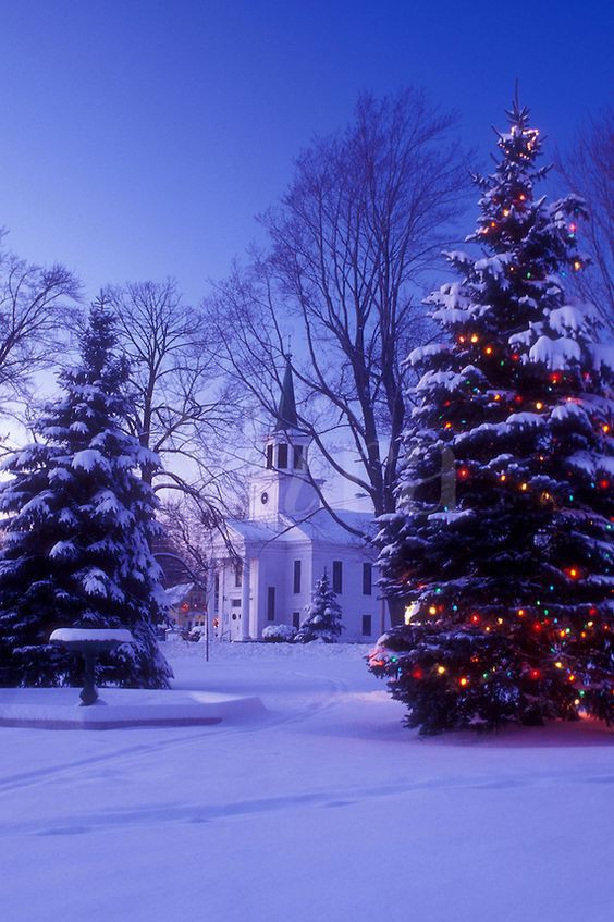 Những ngôi nhà trang hoàng lộng lẫy đón Noel đẹp đến mê mẩn giữa tuyết trắng - Ảnh 12.