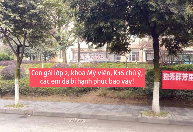 Nam sinh trường người ta: Ngày 8/3 chúc con gái là phải giăng biểu ngữ cực chất - Ảnh 4.