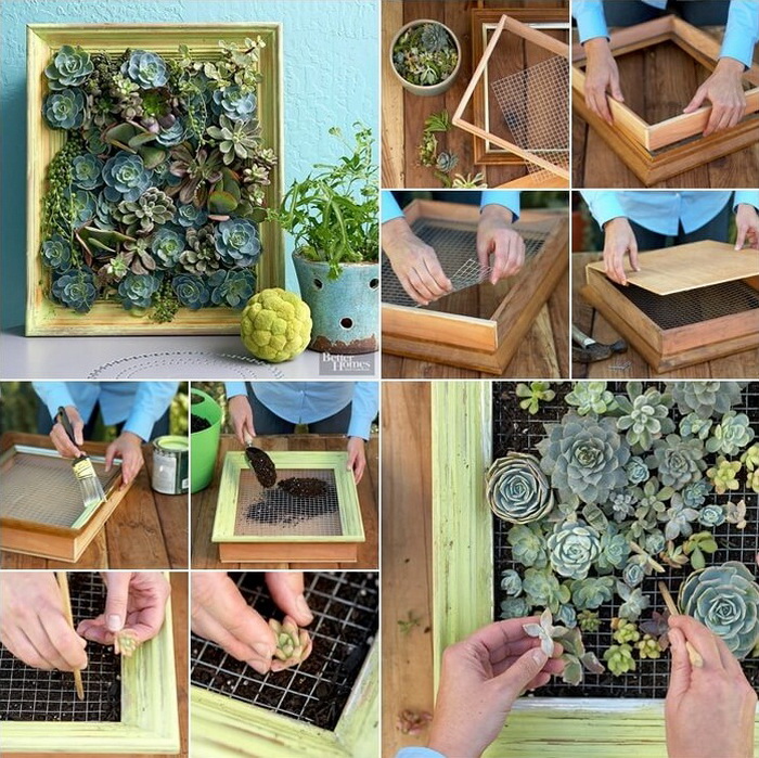 10 ý tưởng trồng cây thẳng đứng tiết kiệm không gian cho nhà chật - Ảnh 7. 10 ý tưởng trồng cây thẳng đứng tiết kiệm không gian cho nhà chật - Ảnh 7.