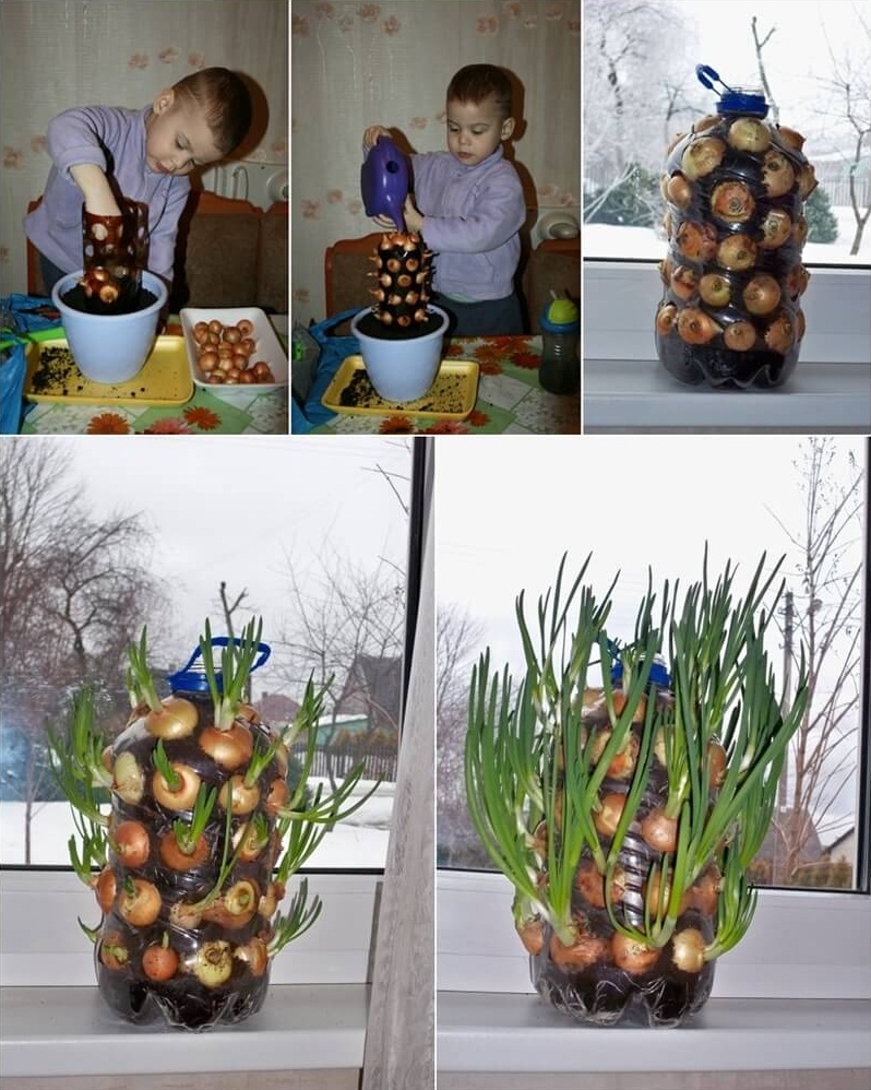 10 ý tưởng trồng cây thẳng đứng tiết kiệm không gian cho nhà chật - Ảnh 10. 10 ý tưởng trồng cây thẳng đứng tiết kiệm không gian cho nhà chật - Ảnh 10.