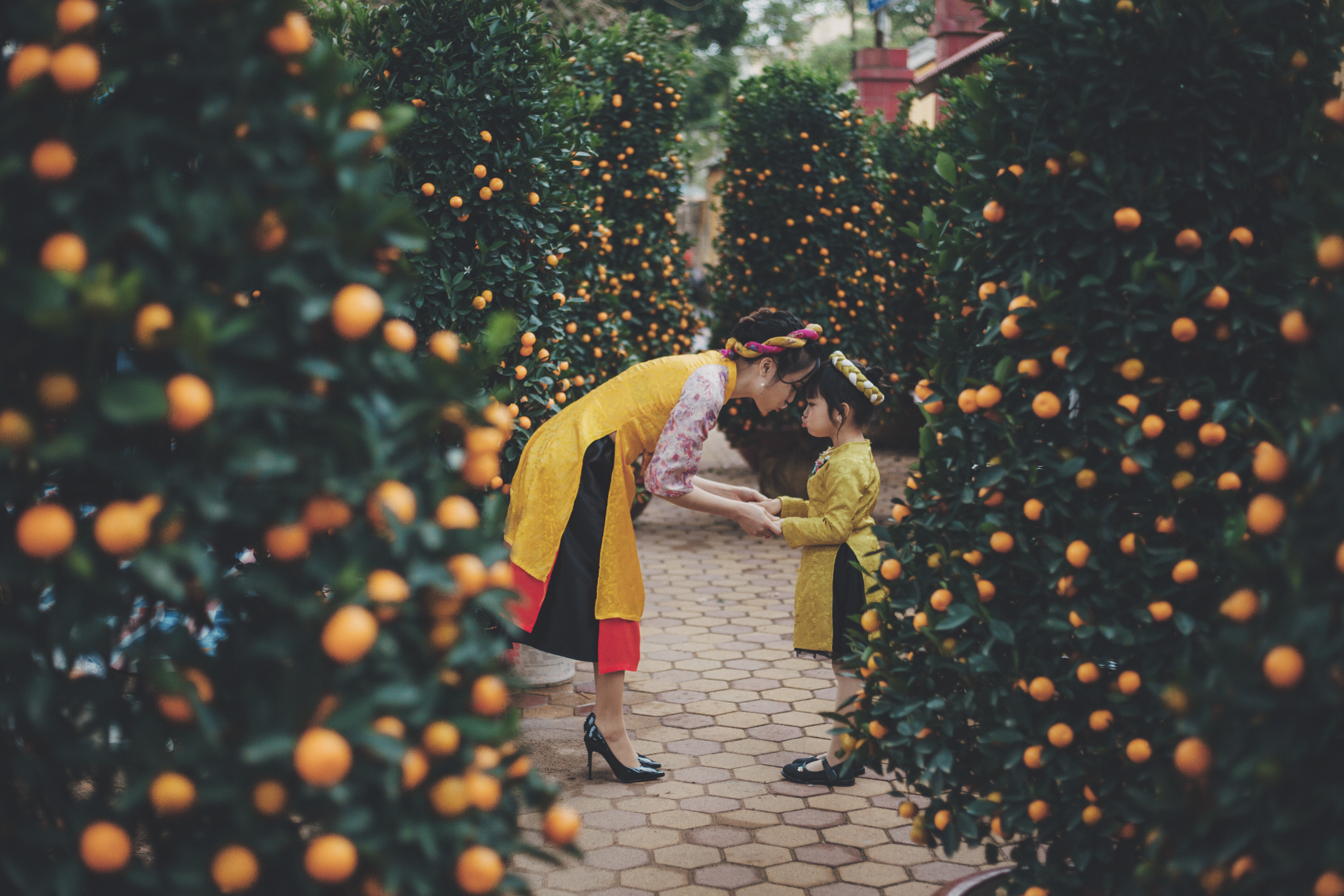 Cảm nhận không khí Tết qua bộ ảnh Ở đâu có mẹ - ở đó có Tết - Ảnh 2. Cảm nhận không khí Tết qua bộ ảnh Ở đâu có mẹ - ở đó có Tết - Ảnh 2.