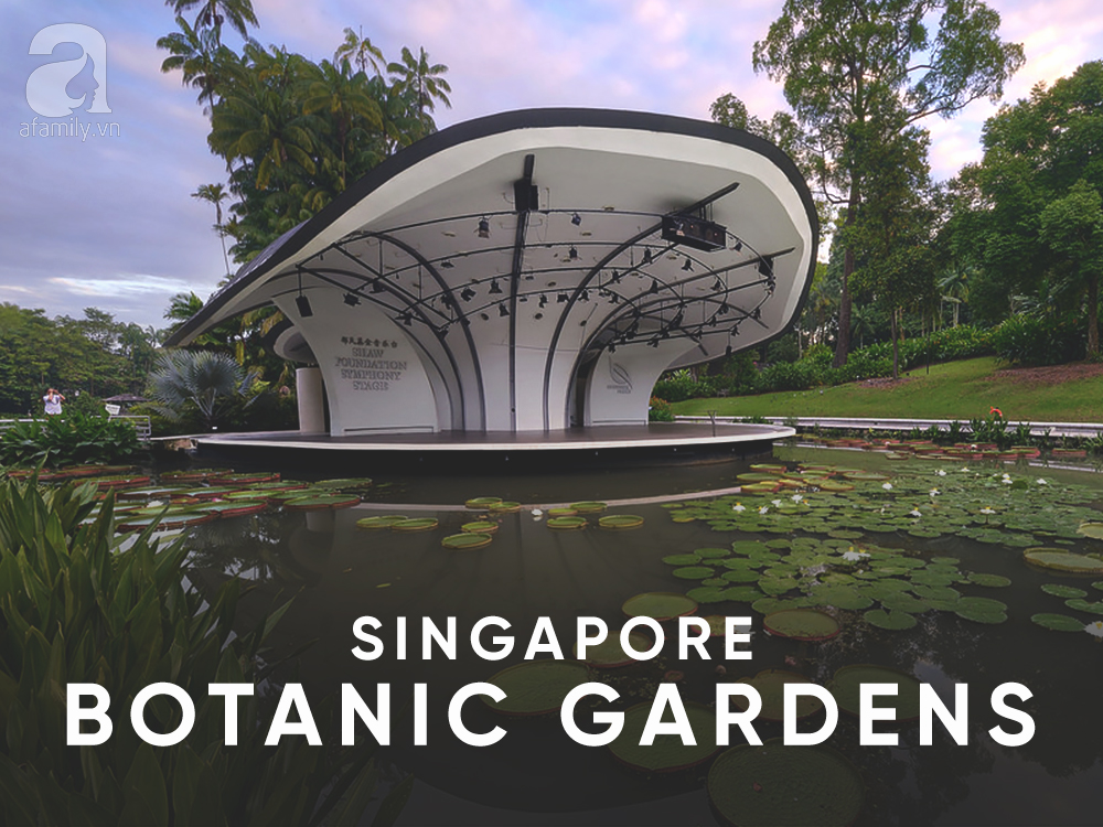 Đi du lịch Singapore, muốn có ảnh đẹp thì phải đến những nơi này - Ảnh 10. Đi du lịch Singapore, muốn có ảnh đẹp thì phải đến những nơi này - Ảnh 10.