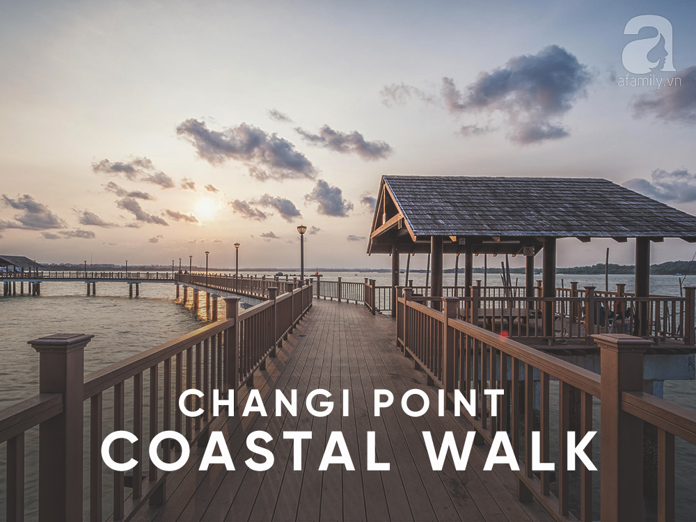 Đi du lịch Singapore, muốn có ảnh đẹp thì phải đến những nơi này - Ảnh 15. Đi du lịch Singapore, muốn có ảnh đẹp thì phải đến những nơi này - Ảnh 15.