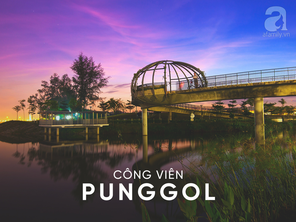 Đi du lịch Singapore, muốn có ảnh đẹp thì phải đến những nơi này - Ảnh 19. Đi du lịch Singapore, muốn có ảnh đẹp thì phải đến những nơi này - Ảnh 19.