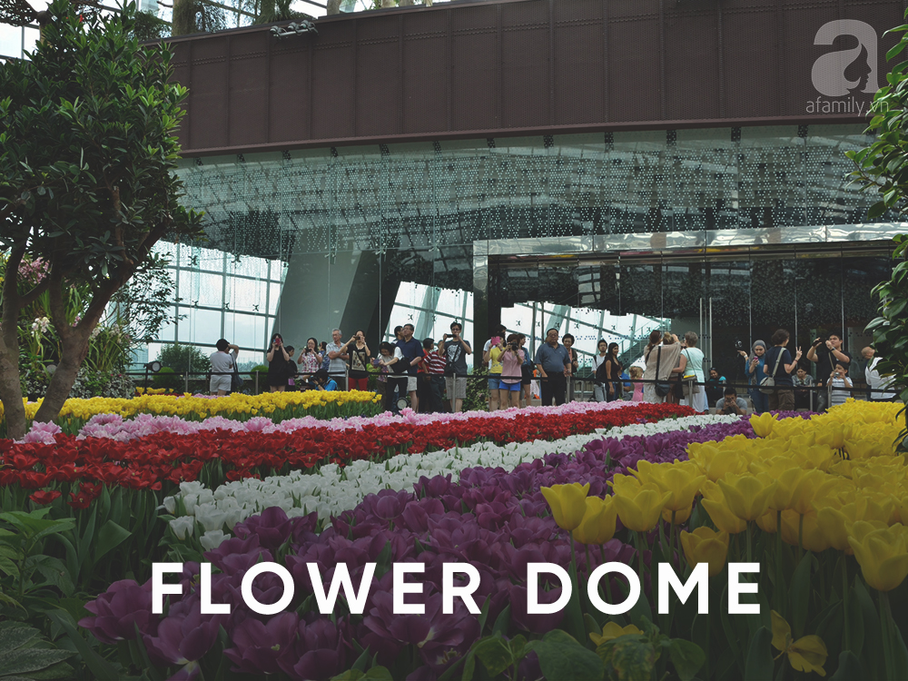 Đi du lịch Singapore, muốn có ảnh đẹp thì phải đến những nơi này - Ảnh 21. Đi du lịch Singapore, muốn có ảnh đẹp thì phải đến những nơi này - Ảnh 21.