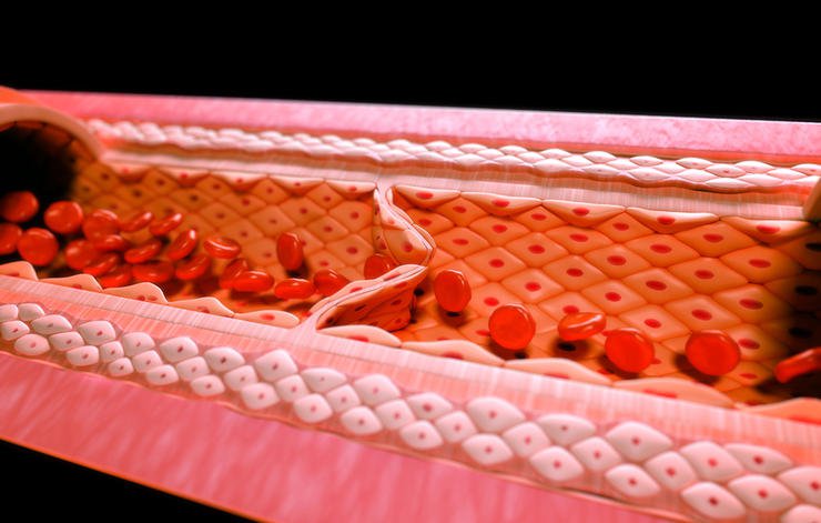 Nếu cơ thể có những triệu chứng này, bạn cần hết sức cẩn trọng vì có thể sắp bị tiểu đường - Ảnh 4. Nếu cơ thể có những triệu chứng này, bạn cần hết sức cẩn trọng vì có thể sắp bị tiểu đường - Ảnh 4.