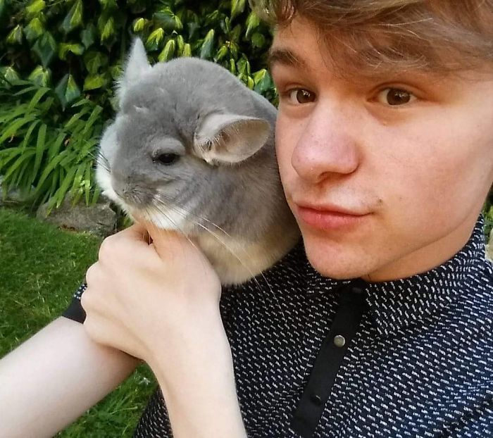 Nhìn qua cứ tưởng cục bông, lại gần ai cũng phải tan chảy trái tim với con vật đáng yêu này - Ảnh 4. Nhìn qua cứ tưởng cục bông, lại gần ai cũng phải tan chảy trái tim với con vật đáng yêu này - Ảnh 4.