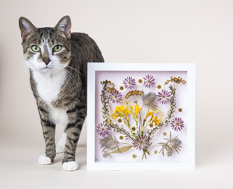 Nhà bạn sẽ ấn tượng hơn với bức tranh hoa khô tự làm - Ảnh 7. Nhà bạn sẽ ấn tượng hơn với bức tranh hoa khô tự làm - Ảnh 7.