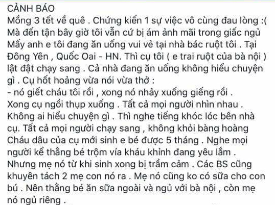 Người mẹ 9X sát hại đứa con trai 5 tháng tuổi xong nhảy xuống giếng tự tử - Ảnh 1.