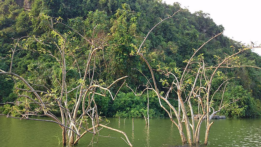 4 điểm du lịch cực nên thơ, đi mãi đi hoài vẫn không hết cảnh đẹp ở Ninh Bình - Ảnh 13. 4 điểm du lịch cực nên thơ, đi mãi đi hoài vẫn không hết cảnh đẹp ở Ninh Bình - Ảnh 13.