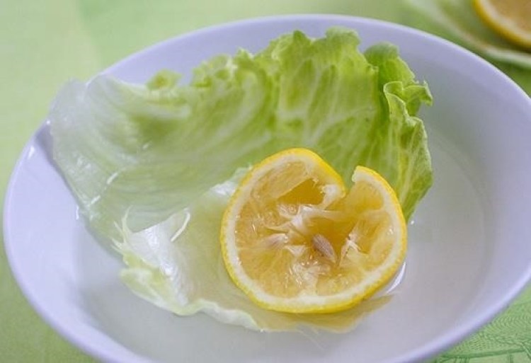 Thau nước này chính là “vị cứu tinh” giúp xà lách “hồi sinh”, tươi ngon mơn mởn đến bất ngờ - Ảnh 3. Thau nước này chính là “vị cứu tinh” giúp xà lách “hồi sinh”, tươi ngon mơn mởn đến bất ngờ - Ảnh 3.