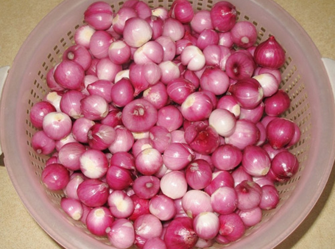 Tết này muốn hành muối giòn ngon xuất sắc thì nhớ chọn hành thế này - Ảnh 2. Tết này muốn hành muối giòn ngon xuất sắc thì nhớ chọn hành thế này - Ảnh 2.