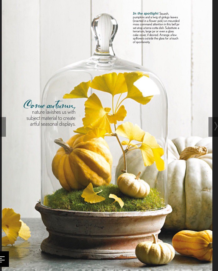 Bạn có thể trang trí bàn tiệc mà không sợ bị đụng hàng chỉ với 1 nguyên liệu chính là quả bí ngô - Ảnh 6. Bạn có thể trang trí bàn tiệc mà không sợ bị đụng hàng chỉ với 1 nguyên liệu chính là quả bí ngô - Ảnh 6.