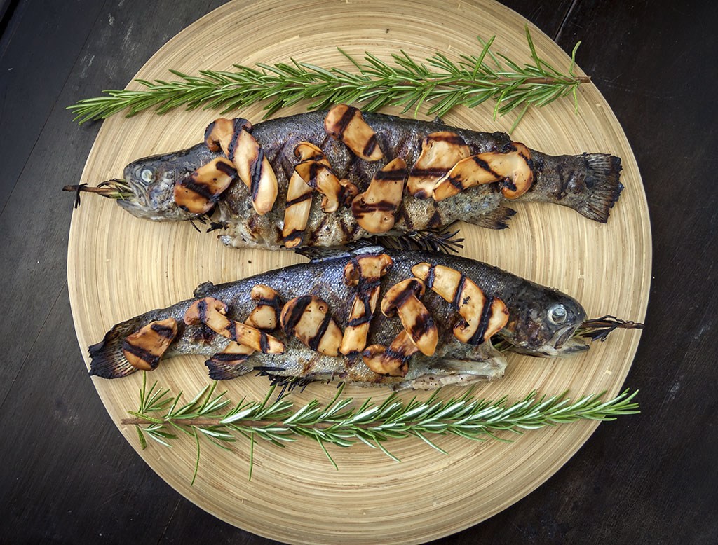 Khám phá matsutake - loại nấm đắt nhất thế giới mang trọn vẹn hương vị mùa thu Nhật Bản, 50 triệu/kg mà vẫn cháy hàng - Ảnh 9. Khám phá matsutake - loại nấm đắt nhất thế giới mang trọn vẹn hương vị mùa thu Nhật Bản, 50 triệu/kg mà vẫn cháy hàng - Ảnh 9.