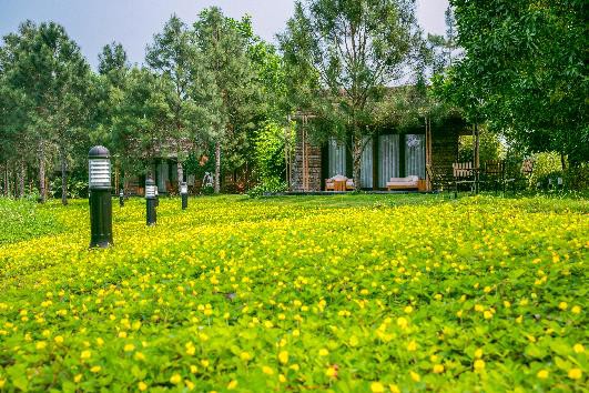 Kỳ nghỉ gia đình tại Flamingo Đại Lải Resort: Tái tạo năng lượng, gắn k&ecirc;́t y&ecirc;u thương - Ảnh 2.