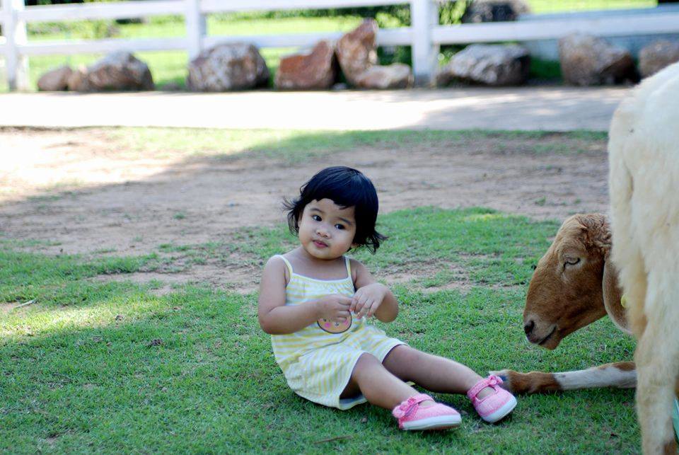 Con gái mới 4 tuổi đã bị mất thị lực suýt mù mắt, ông bố khẩn thiết cảnh báo khiến nhiều phụ huynh giật mình thon thót - Ảnh 1. Con gái mới 4 tuổi đã bị mất thị lực suýt mù mắt, ông bố khẩn thiết cảnh báo khiến nhiều phụ huynh giật mình thon thót - Ảnh 1.
