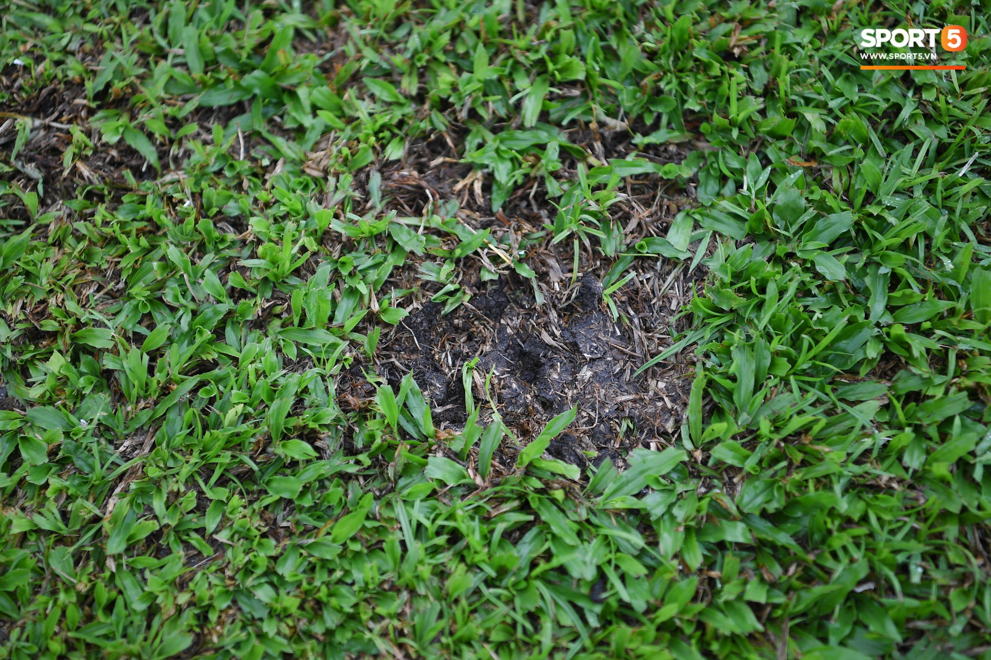 Sân thi đấu trận Philippines - Việt Nam: Tệ nhất AFF Cup 2018, khiến nhiều người rùng mình vì vẻ hoang tàn, u ám - Ảnh 13. Sân thi đấu trận Philippines - Việt Nam: Tệ nhất AFF Cup 2018, khiến nhiều người rùng mình vì vẻ hoang tàn, u ám - Ảnh 13.