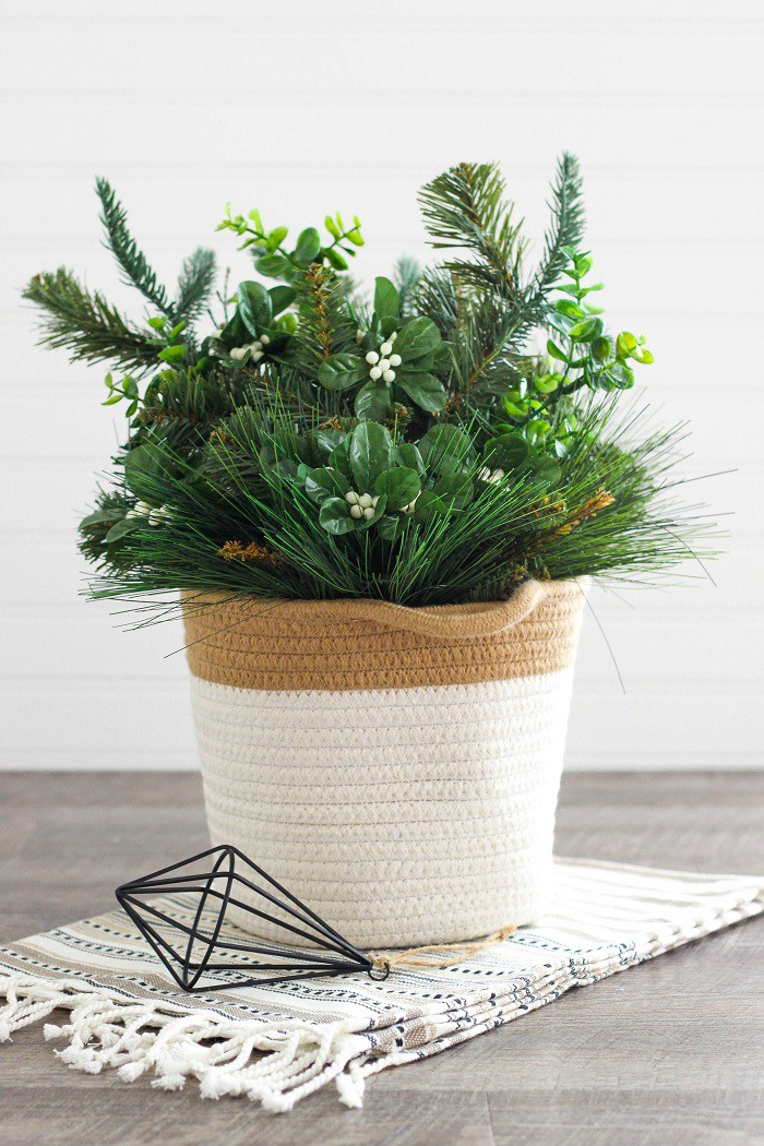 Sử dụng cây xanh trong nhà để trang trí Noel, cách làm mới mẻ nhưng hiệu quả bất ngờ - Ảnh 4. Sử dụng cây xanh trong nhà để trang trí Noel, cách làm mới mẻ nhưng hiệu quả bất ngờ - Ảnh 4.