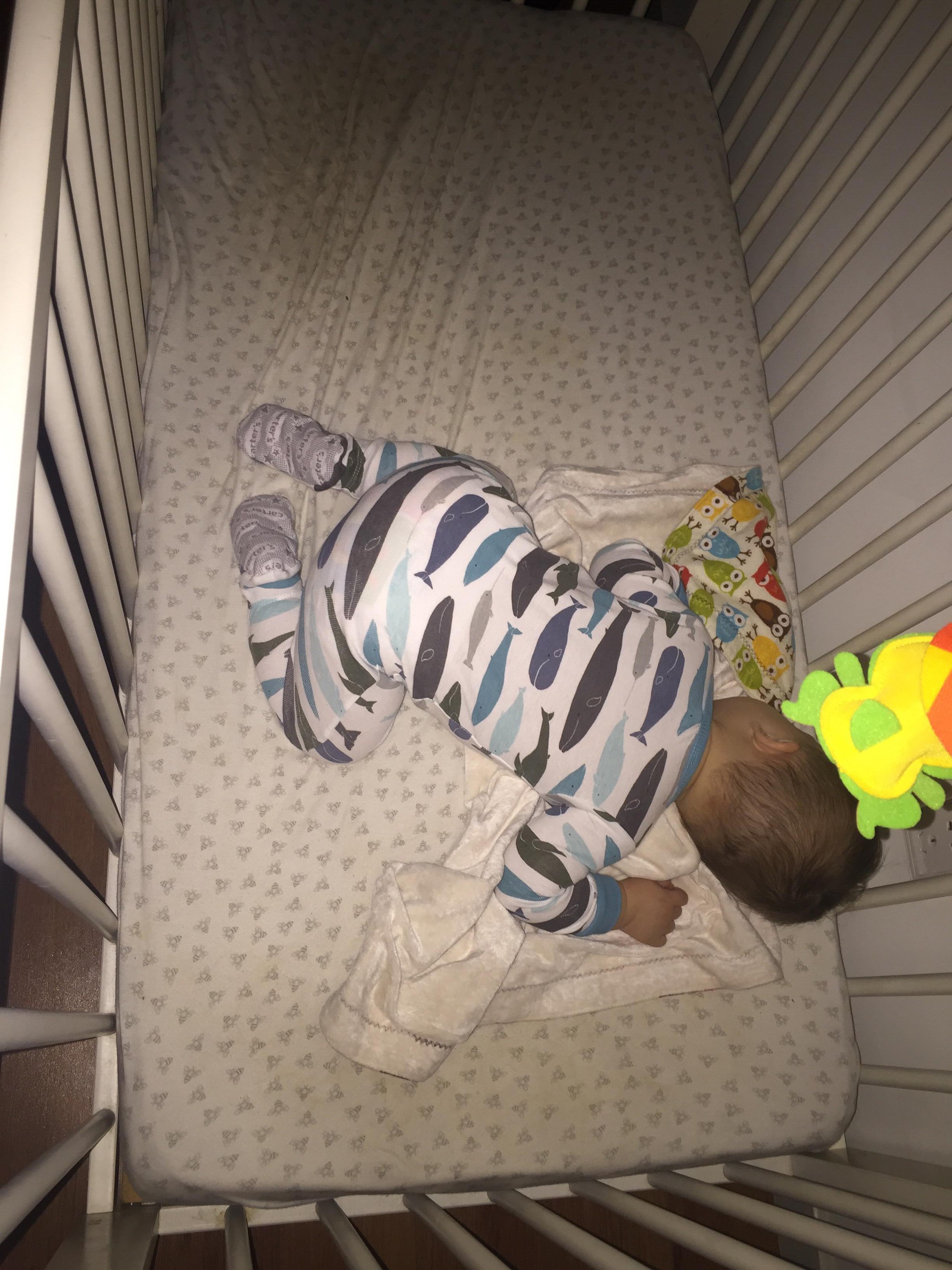 Cho con ngủ cũi từ khi lọt lòng, mẹ Việt mất đúng 1 tuần để luyện con tự ngủ từ 7 rưỡi tối đến sáng - Ảnh 4. Cho con ngủ cũi từ khi lọt lòng, mẹ Việt mất đúng 1 tuần để luyện con tự ngủ từ 7 rưỡi tối đến sáng - Ảnh 4.