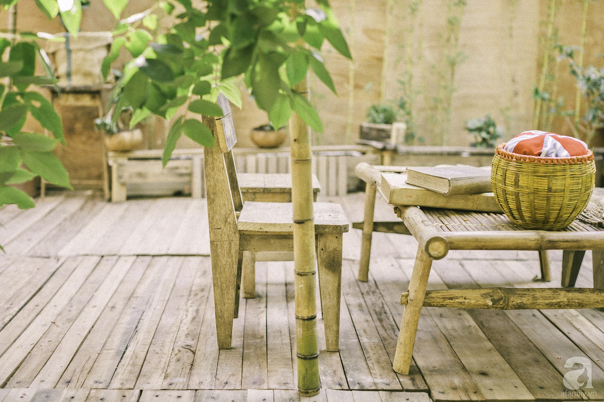 Chàng trai 8X đam mê nhiếp ảnh biến mảnh đất hoang thành khu vườn đậm màu Vintage rộng 20m² ở Hà Nội - Ảnh 15. Chàng trai 8X đam mê nhiếp ảnh biến mảnh đất hoang thành khu vườn đậm màu Vintage rộng 20m² ở Hà Nội - Ảnh 15.