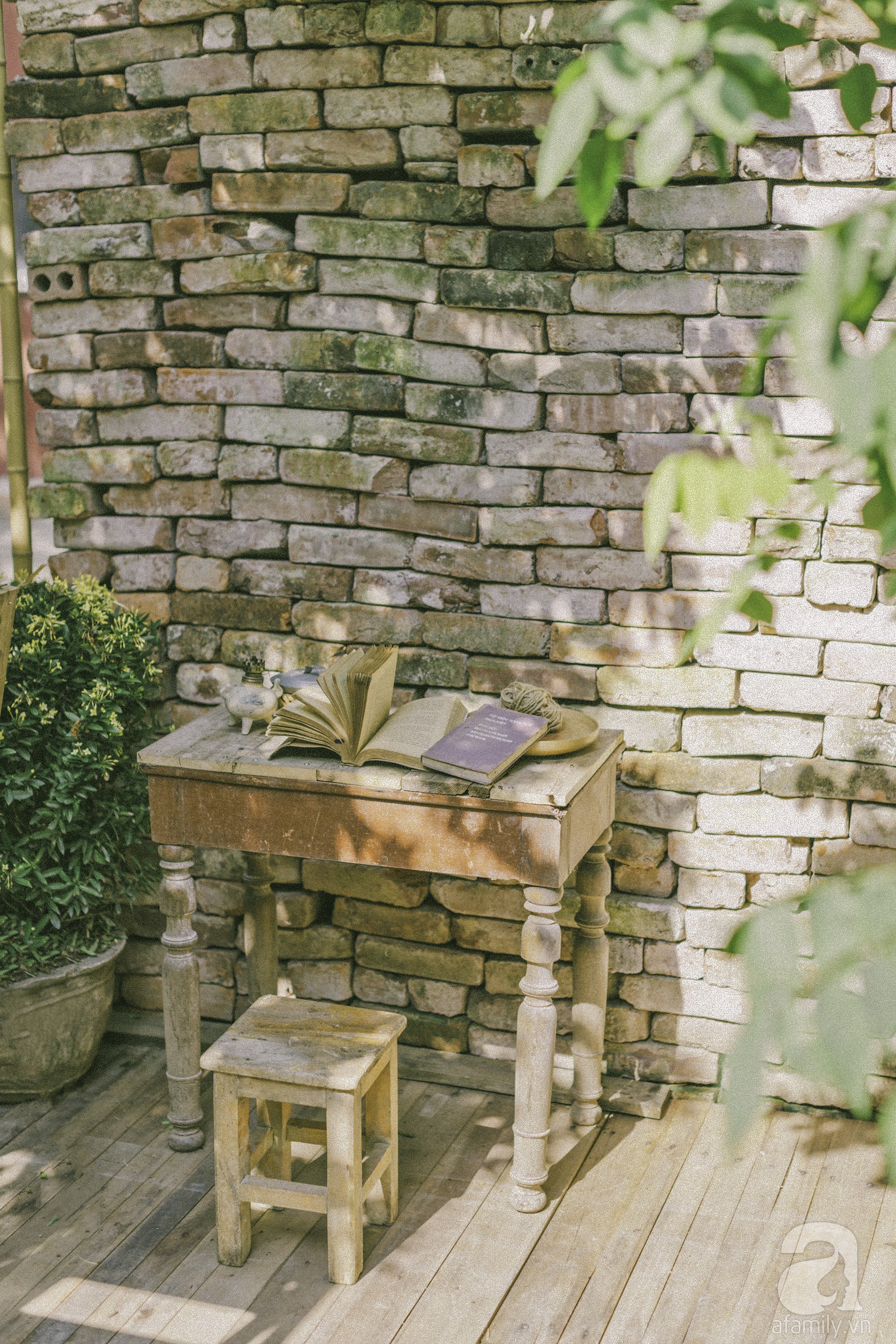Chàng trai 8X đam mê nhiếp ảnh biến mảnh đất hoang thành khu vườn đậm màu Vintage rộng 20m² ở Hà Nội - Ảnh 14. Chàng trai 8X đam mê nhiếp ảnh biến mảnh đất hoang thành khu vườn đậm màu Vintage rộng 20m² ở Hà Nội - Ảnh 14.