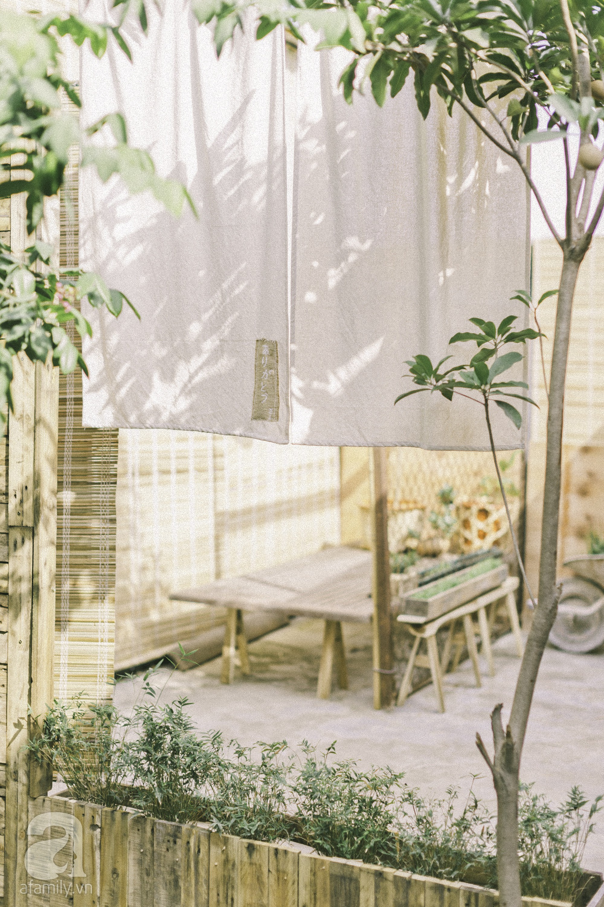 Chàng trai 8X đam mê nhiếp ảnh biến mảnh đất hoang thành khu vườn đậm màu Vintage rộng 20m² ở Hà Nội - Ảnh 12. Chàng trai 8X đam mê nhiếp ảnh biến mảnh đất hoang thành khu vườn đậm màu Vintage rộng 20m² ở Hà Nội - Ảnh 12.