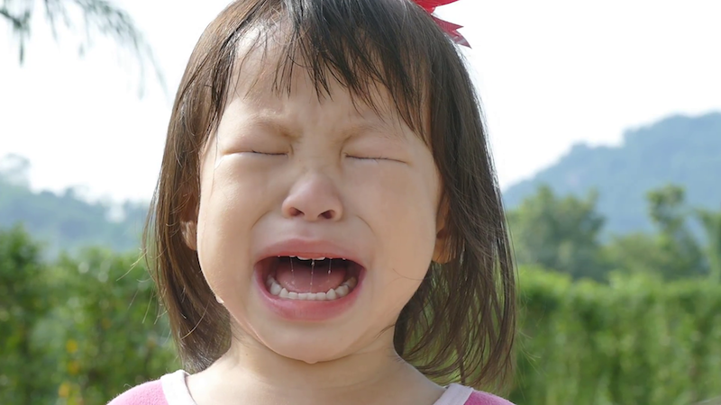 3 giáo viên mầm non dùng tăm đâm vào người trẻ vì... ăn không hết suất - Ảnh 4. 3 giáo viên mầm non dùng tăm đâm vào người trẻ vì... ăn không hết suất - Ảnh 4.