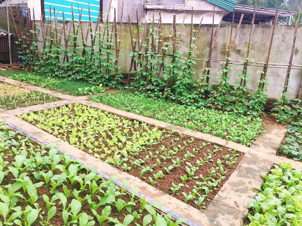 “Ba mẹ ơi xây nhà đi, nhà mình như ổ chuột…” - Ảnh 2. “Ba mẹ ơi xây nhà đi, nhà mình như ổ chuột…” - Ảnh 2.