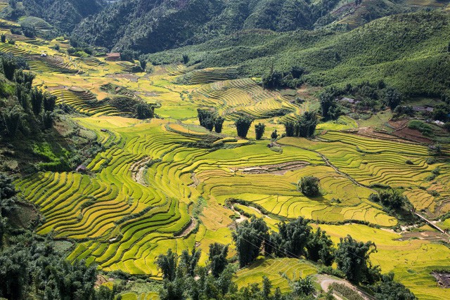 Báo chí thế giới ca ngợi Hoàng Liên Sơn, Sa Pa là “Điểm đến hấp dẫn nhất Thế giới năm 2019” - Ảnh 2.